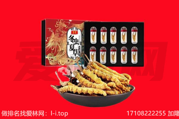 临汾市霍州回收虫草.jpg